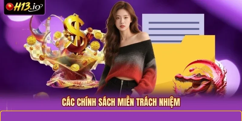 Các chính sách miễn trách nhiệm
