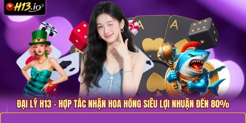 Đại lý H13
