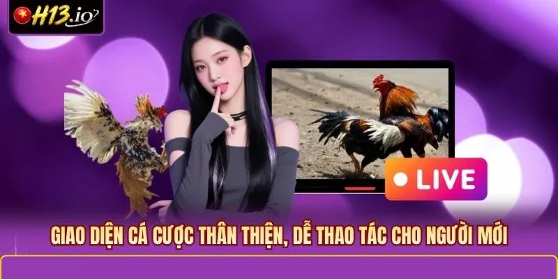 Giao diện cá cược thân thiện, dễ thao tác cho người mới