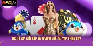 H13 Là Gì