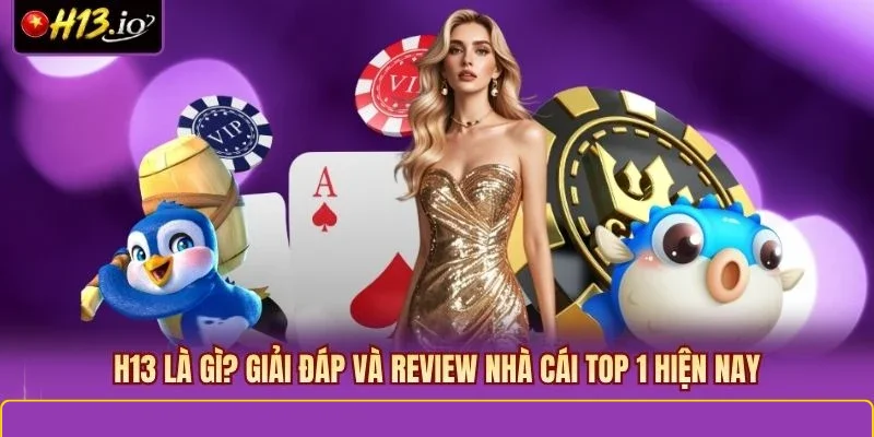 H13 Là Gì