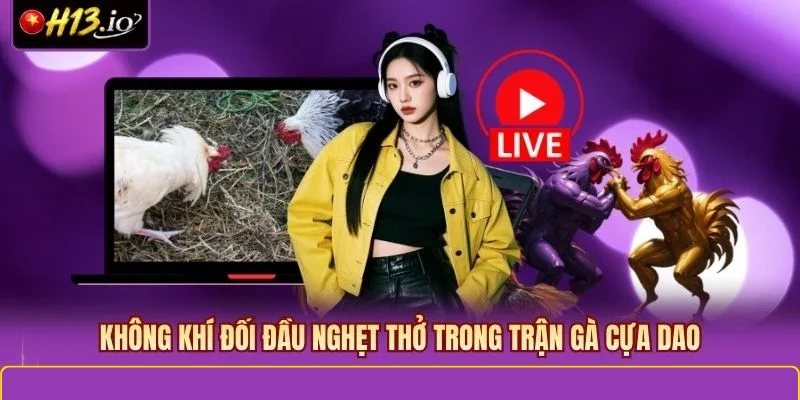 Không khí đối đầu nghẹt thở trong trận gà cựa dao
