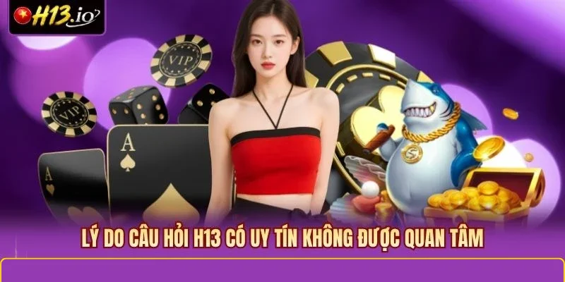 Lý do câu hỏi H13 có uy tín không được quan tâm