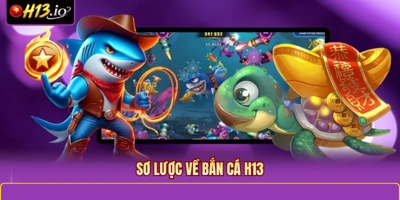 Sơ lược về bắn cá H13